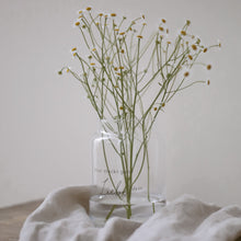 Lade das Bild in den Galerie-Viewer, Ein Lieblingsprodukt